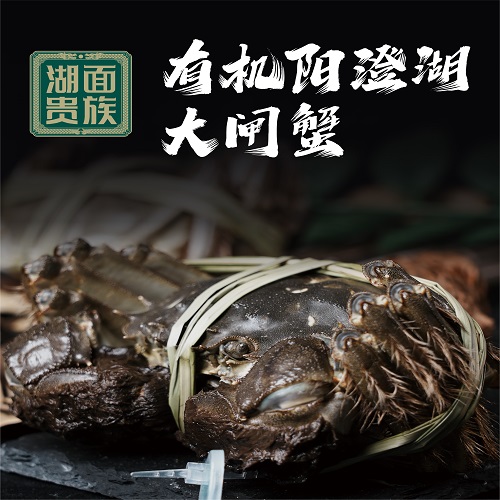 湖面貴族有機(jī)大閘蟹2398型