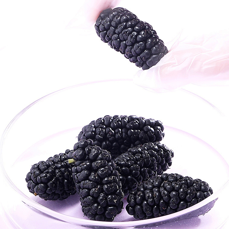 兵团红黑桑葚礼盒240g
