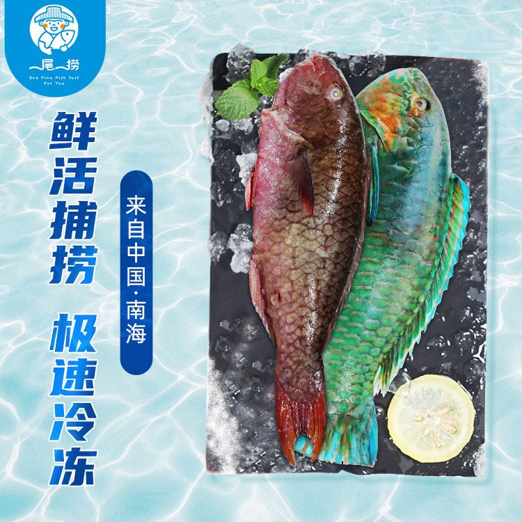 一尾一捞臻品“礼鱼”套餐368