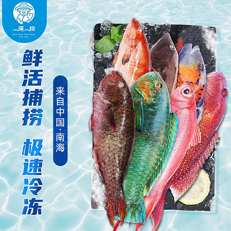 一尾一捞臻品“礼鱼”套餐2588
