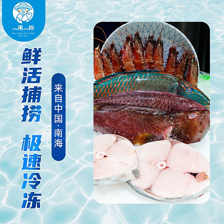 一尾一捞臻品“礼鱼”套餐988A