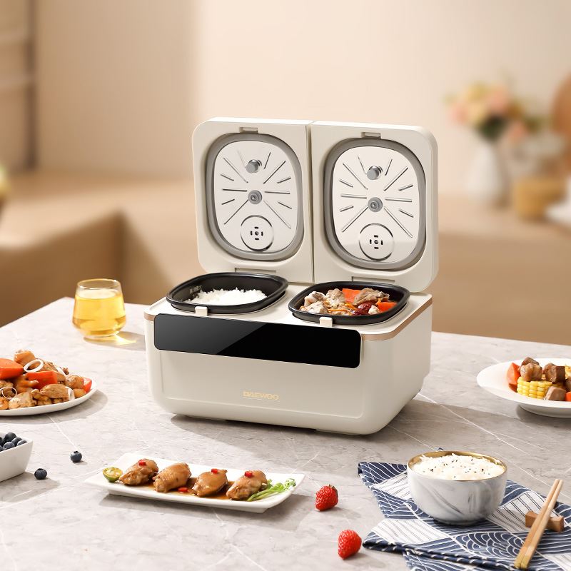 大宇雙膽電飯煲DYFB-4020