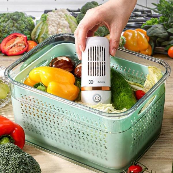 伊莱克斯EGVC6110果蔬净化器
