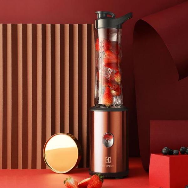 伊莱克斯EGBR1020搅拌机