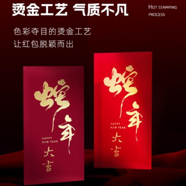 地球之约触感纸红包diy专属定制