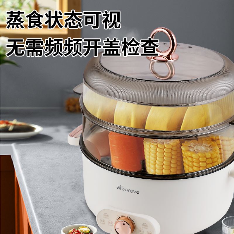 艾贝丽18L电蒸锅ABL-ZG51