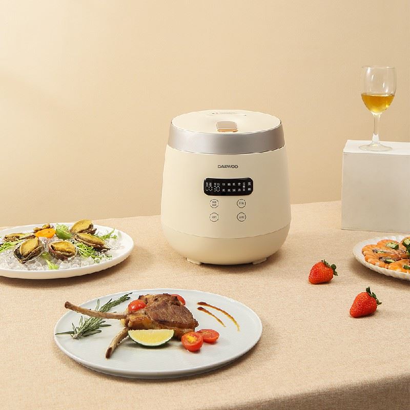 大宇迷你電飯煲DYFB-206H低糖