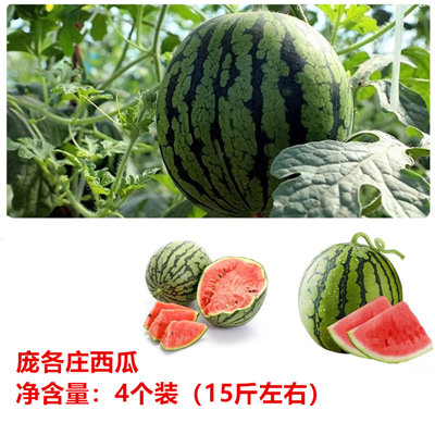 龐各莊西瓜
