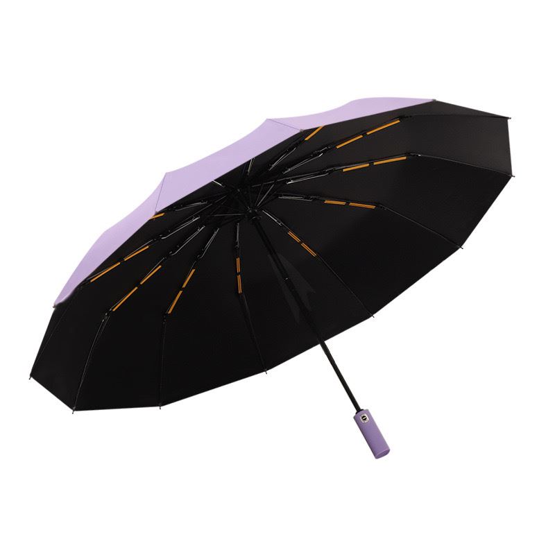 12骨全自动雨伞晴雨两用