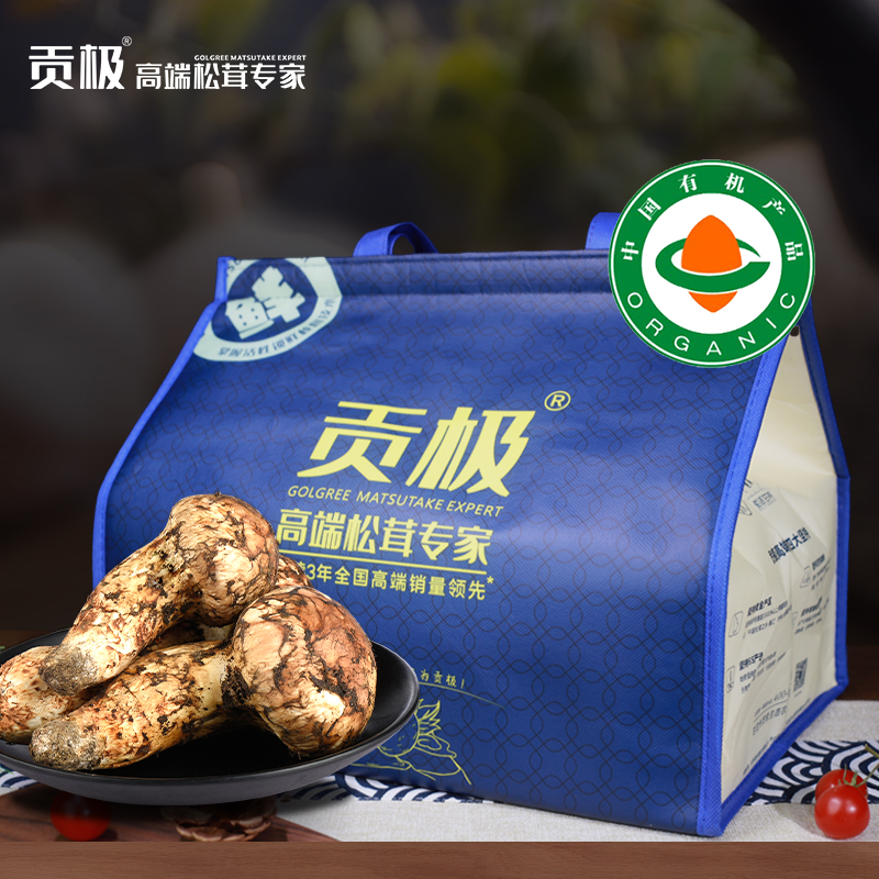 贡极有机松茸卡999型：精品22颗
