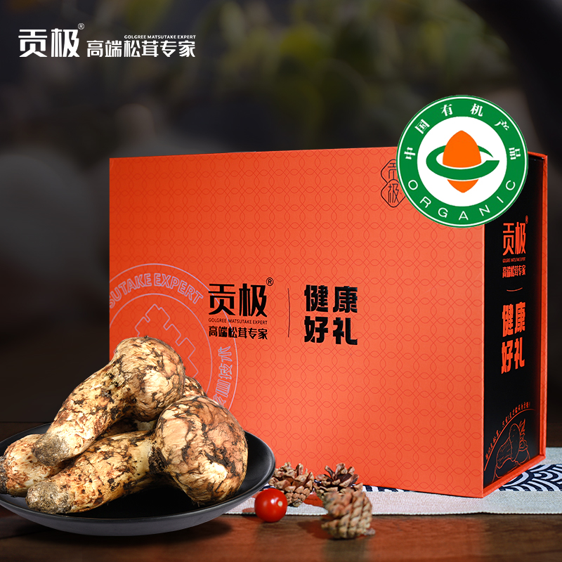 贡极有机松茸卡1688型：精品24颗