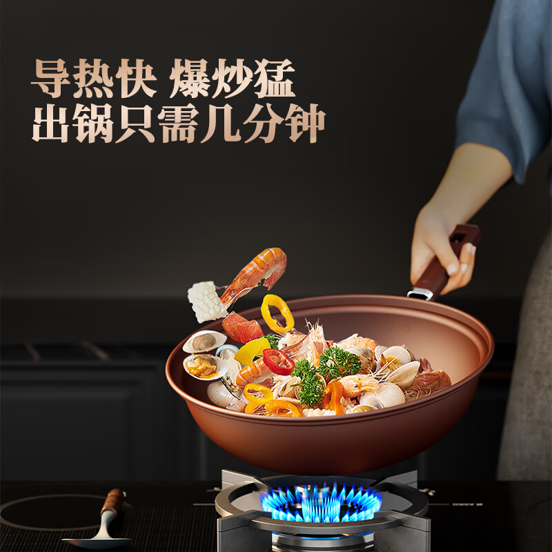 德博莱紫砂微压锅DBL-ZS009