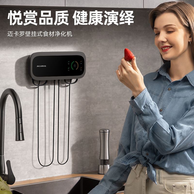 迈卡罗壁挂式食材净化机MC-QX113