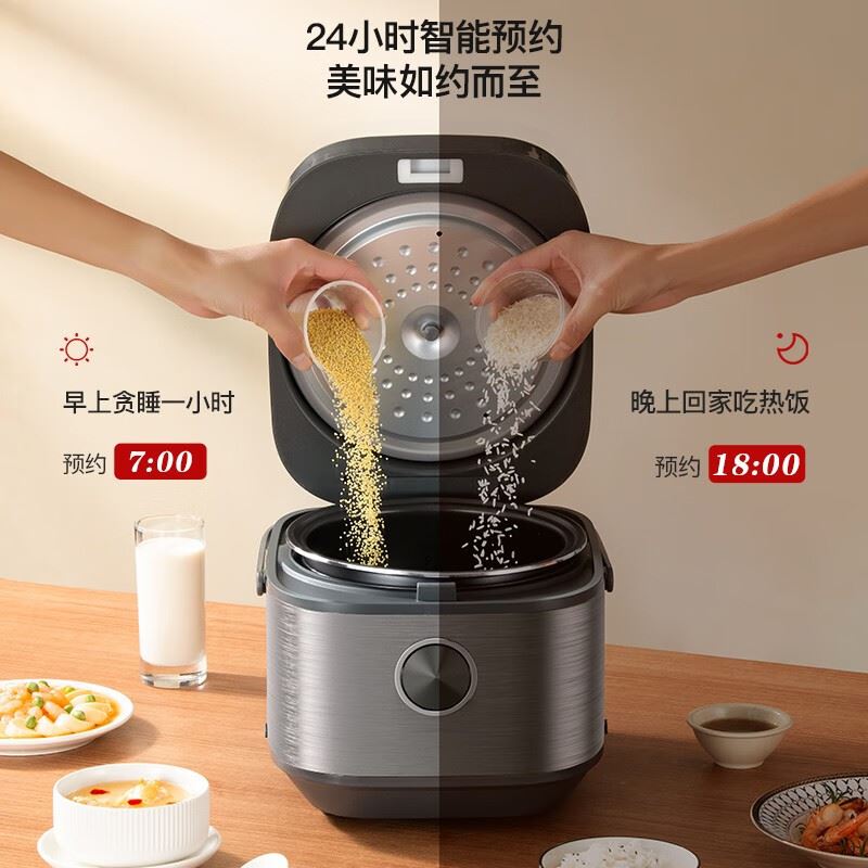 龙的智能电饭煲LD-FS45C