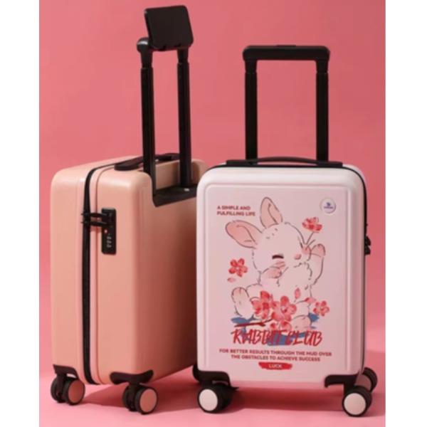 惠贝20寸2106拉链箱