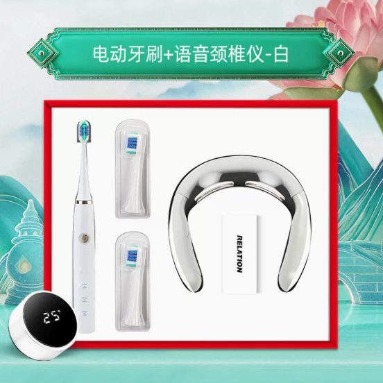 商务套装电动牙刷系列套装两件套