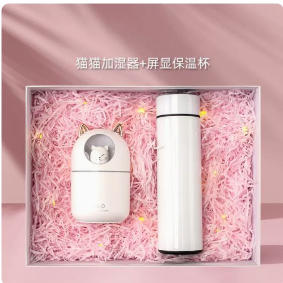 商务套装加湿器温控杯两件套