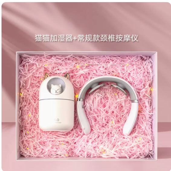 商务套装加湿器颈椎仪两件套