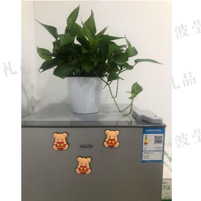 冰箱贴定制