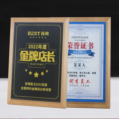 水晶榉木奖牌24*31CM