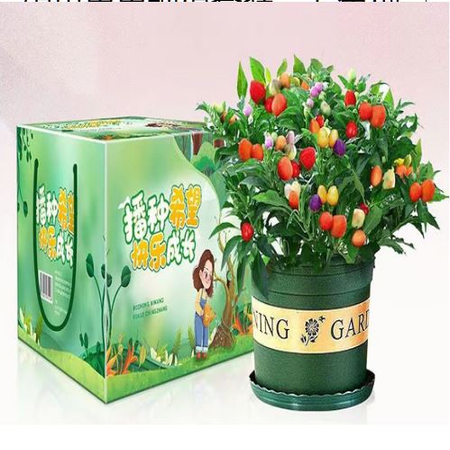 硕果累累种植套装—五色椒
