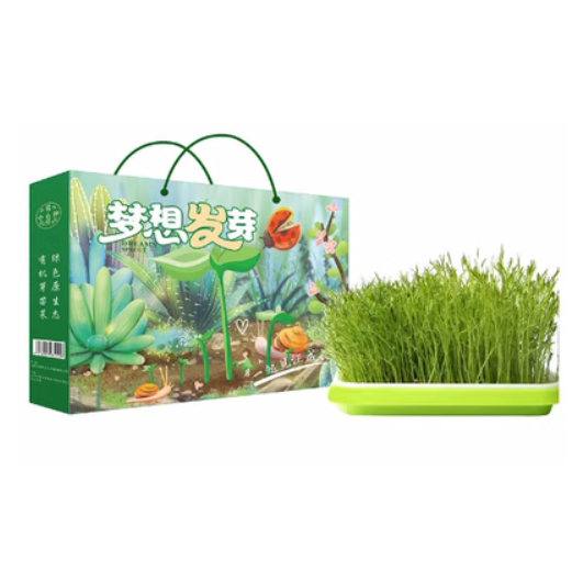 恭喜发菜套装
