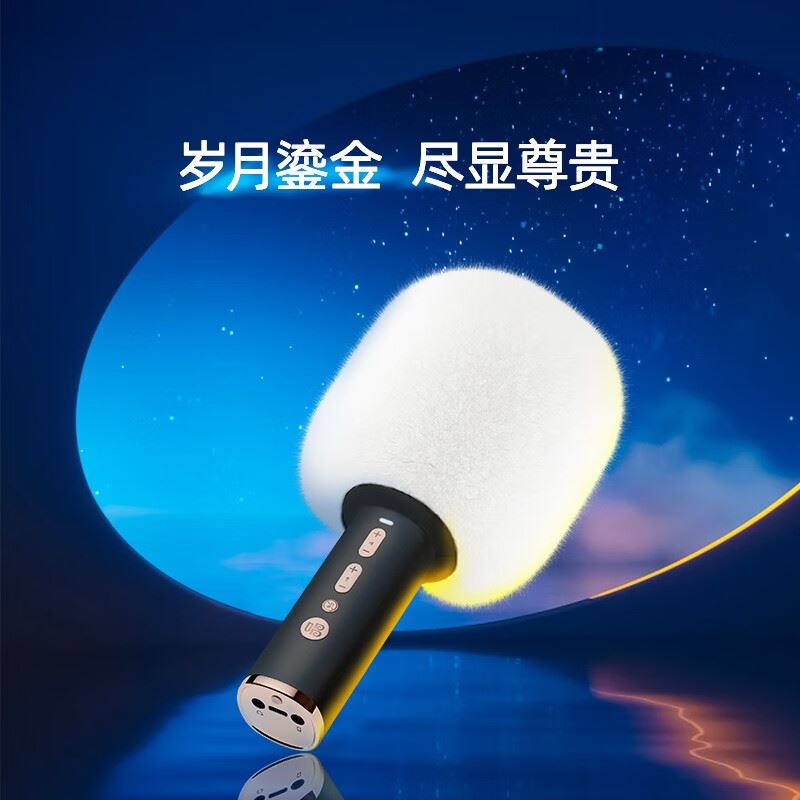 唱吧K歌宝小唱C12黑金色