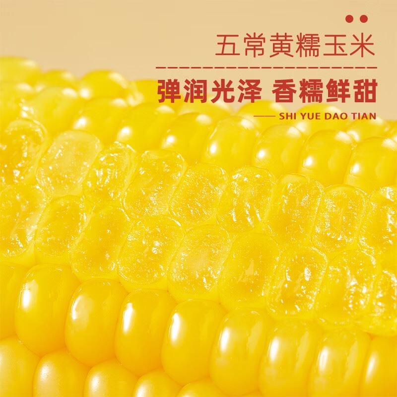十月稻田鲜食玉米大棒子粘玉米2.2kg（220gX10）