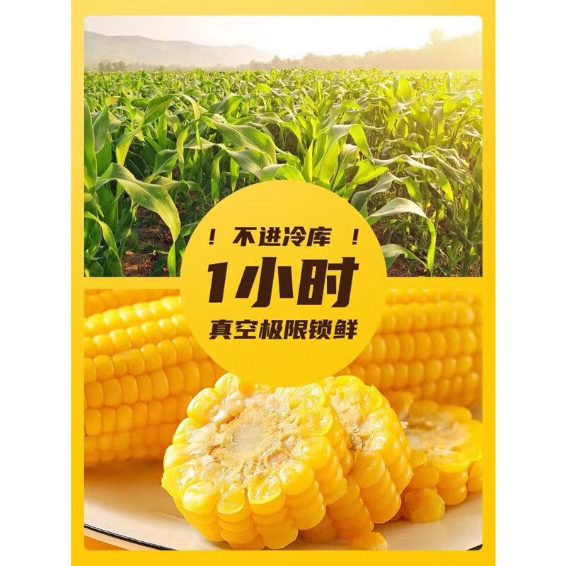 傻小胖甜糯玉米真空即食新鲜东北玉米棒苞米2000g礼盒