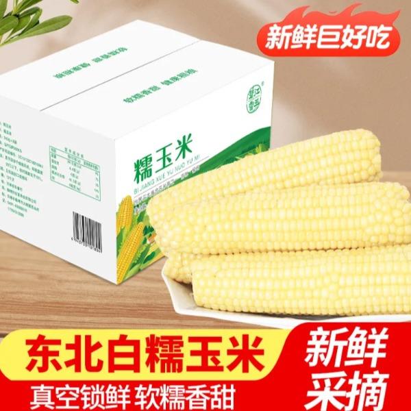 碧江雪玉白糯糯玉米真空包装240g*8支整箱