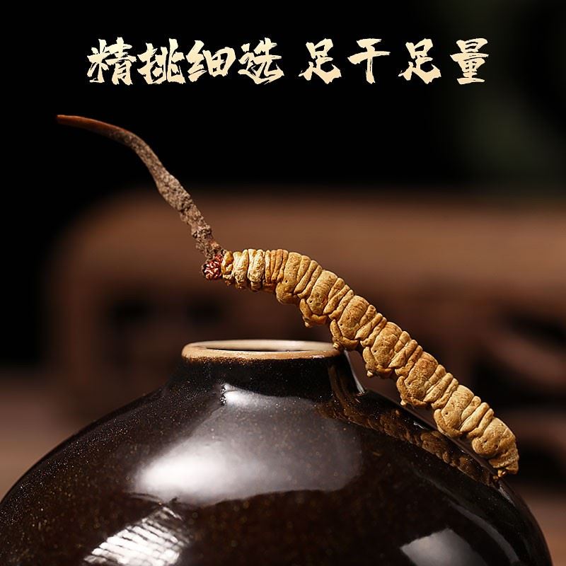 庄民冬虫夏草龙凤礼盒装净无断草高品质精选4条/1g优级