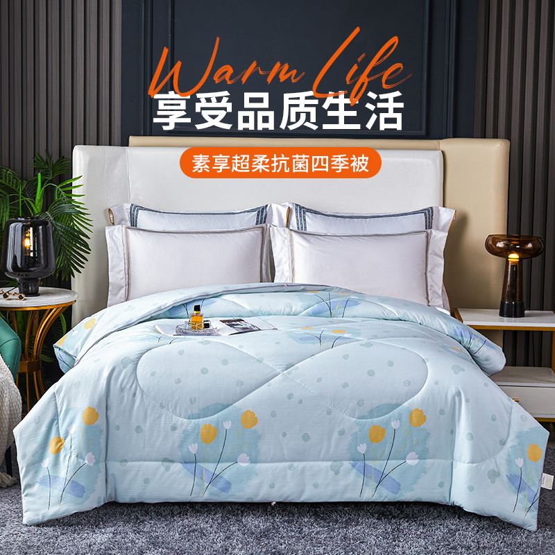 素享超柔抗菌四季被BNL-JF604