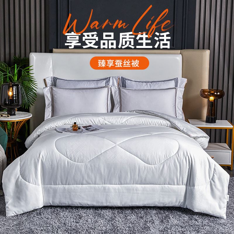 巴米樂臻享蚕丝被BNL-JF605