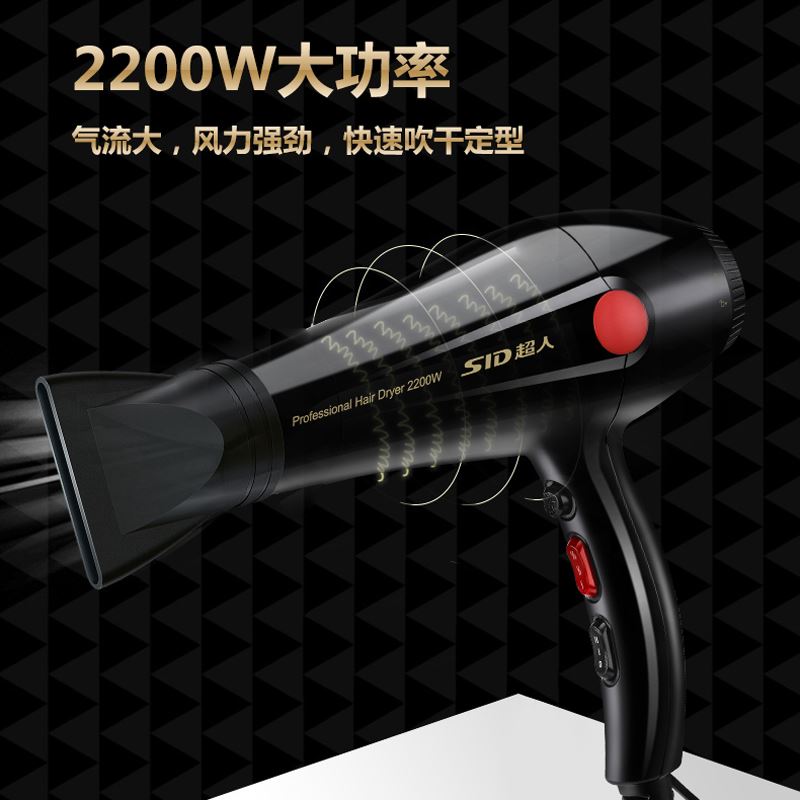 電吹風RD2271