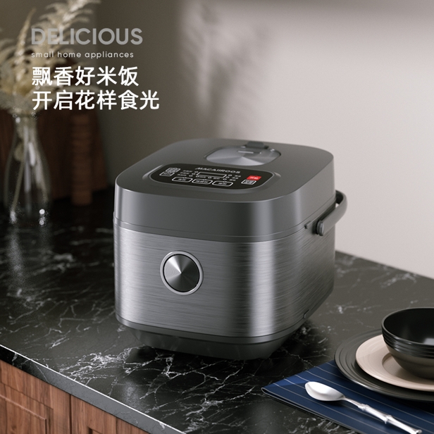 龙的智能电饭煲LD-FS45C