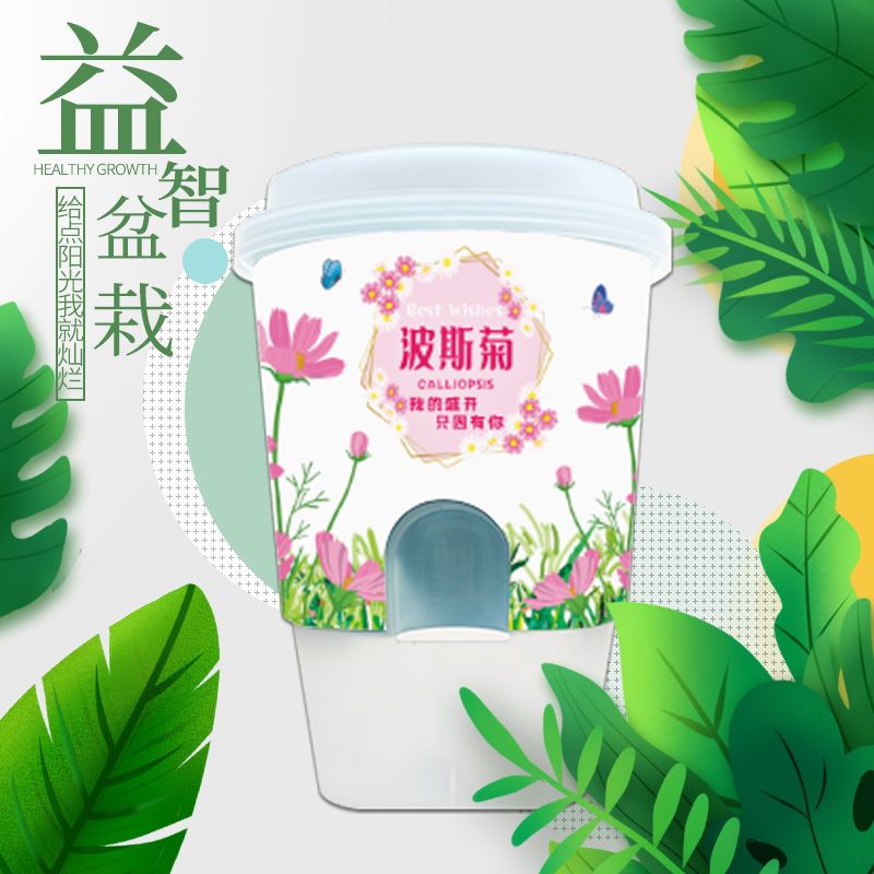 花样汇盲盒益智盆栽