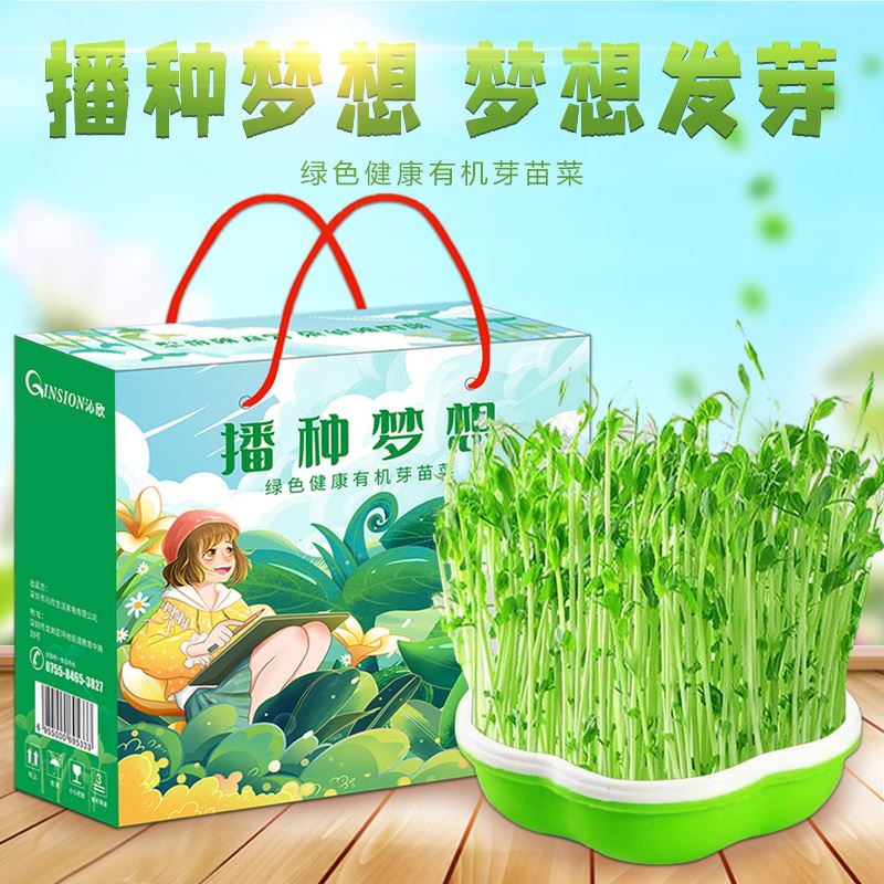 壹植陪伴花型芽苗菜