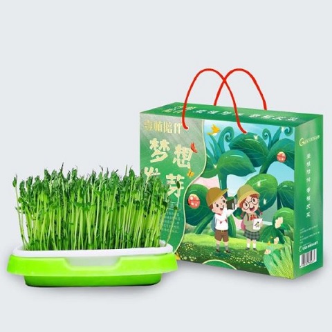 壹植陪伴芽苗菜