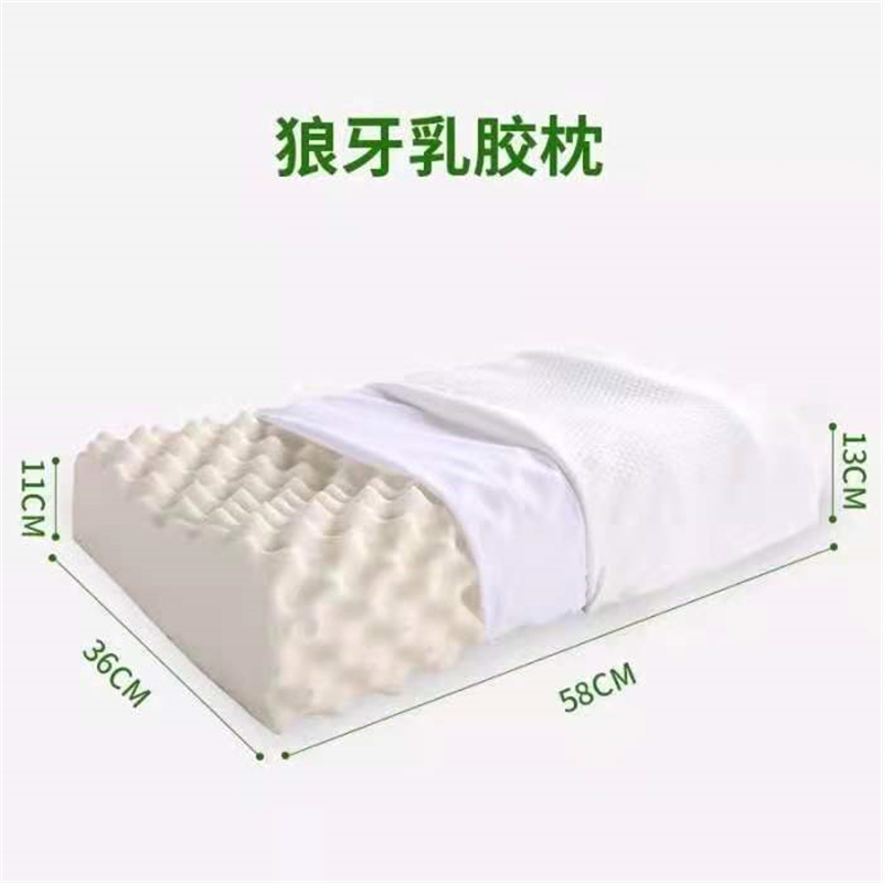 啄木鳥(PLOVER)泰國狼牙乳膠枕