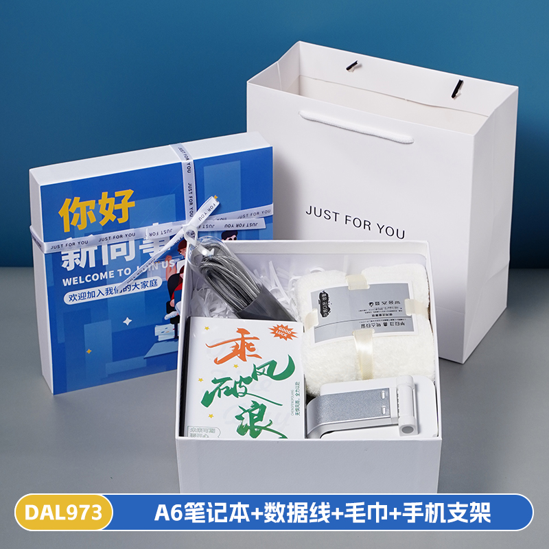 办公室商务礼品企业送员工新同事入职伴手礼套装DAL973