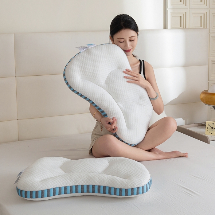 億瞬間分區(qū)護頸枕