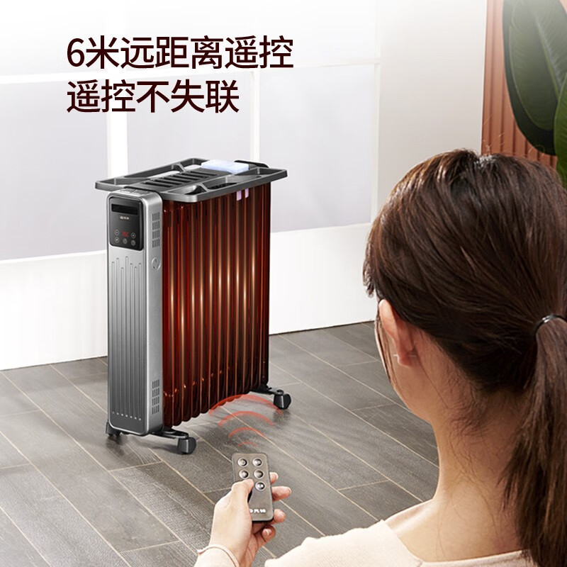 先锋油汀DYT-Z9R（DS2073R）