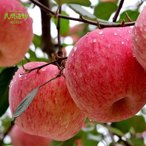 民間造物山東煙臺紅富士蘋果大果4.5斤彩箱裝