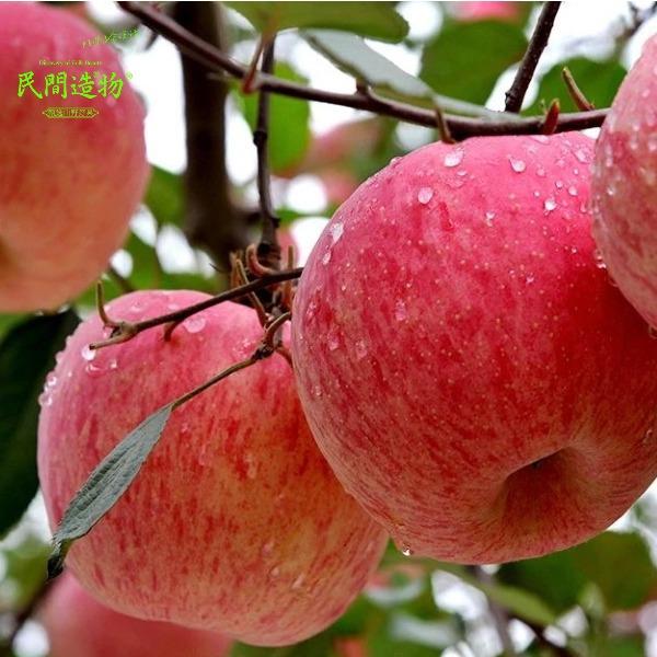 民間造物山東煙臺紅富士蘋果大果彩箱8斤