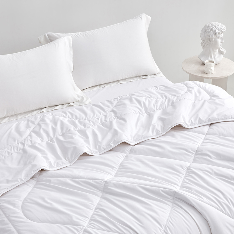 羅萊瑞享A類航天阻螨澳州羊毛冬被200*230cm