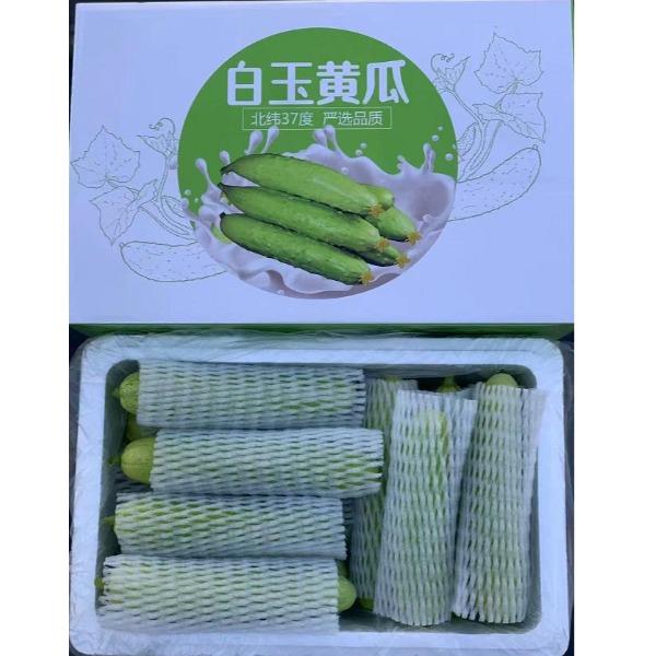 民间造物山东烟台白玉黄瓜净重3斤
