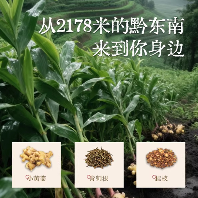 真不二小黄姜青刺根浴足包（25g*30包/盒）