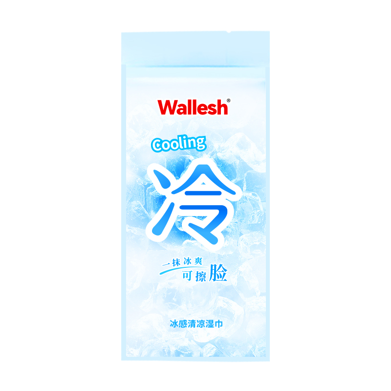 威立世(wallesh)冰感清凉湿巾10片装