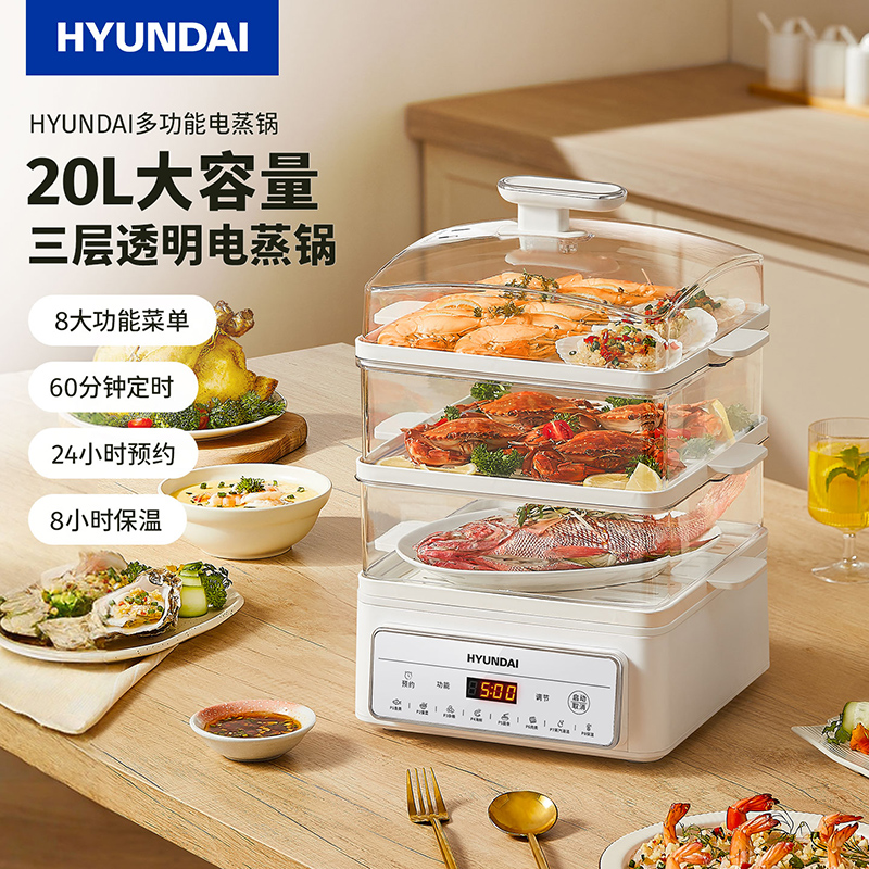 韩国HYUNDAI电蒸锅AEM-DZG6