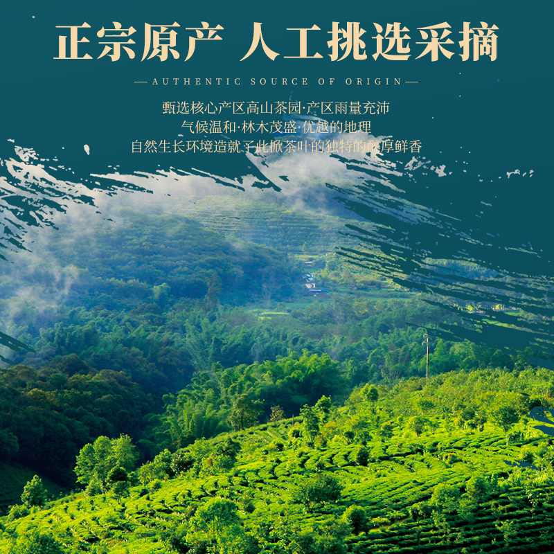 靖滋莲金线莲花果香红茶T5-经典黑金